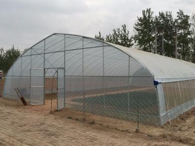 China Galvanized Frame PE Film Greenhouse , Hoop Tunnel Greenhouse CE Approved for sale