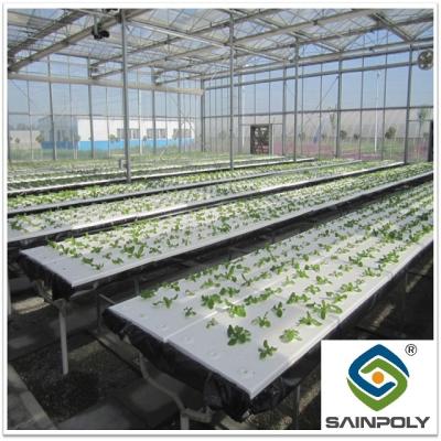 China Durable Large Size Commercial Hydroponic Greenhouse With Soilless Cultivation for sale