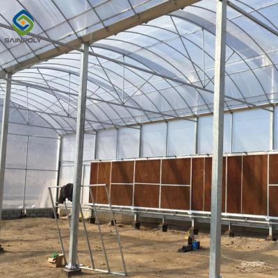 China 20ft Pe Film Multi Span Greenhouse With Mesh Netting for sale