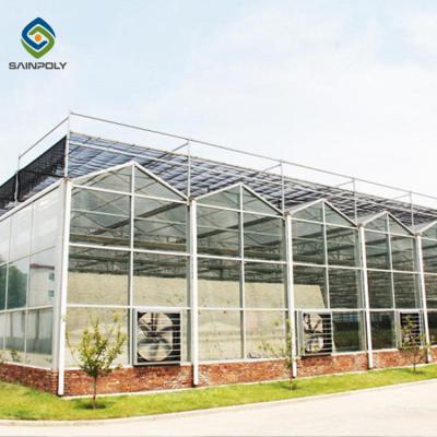 China Stable Hot Galvanized Steel Venlo Glass Greenhouse 3.0mm Thickness for sale