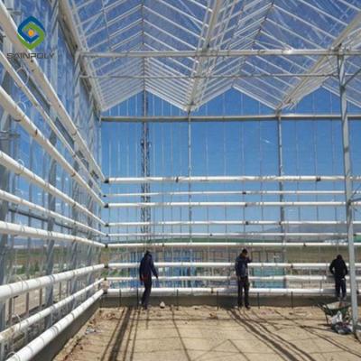 China Fruits 0.4KN/M2 4m Height Commercial Glass Greenhouse for sale