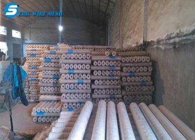 China Hexagonal Wire Mesh/Hexagonal Wire Netting/Gabion Mesh for sale