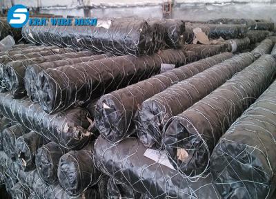 China 2.5mm hexagonal wire mesh factory for sale