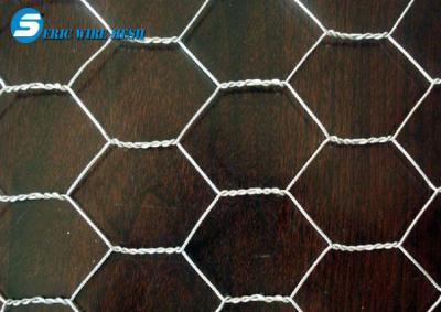 China Fish trap wire/Chickn wire/fish trap hexagonal wire mesh for sale