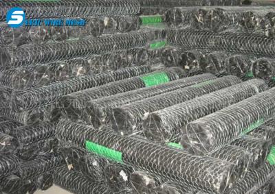 China Fish trap wire/Chickn wire/fish trap hexagonal wire mesh for sale