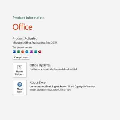 Cina Licenza chiave  Office 2019, chiave globale 2019 di Digital del PC 5 del prodotto di Excel in vendita