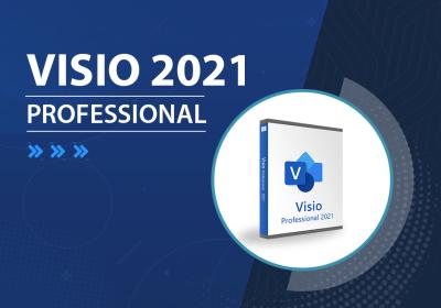 Cina Visio Professional 2021 5 User Activation Key For Windows Official Download in vendita