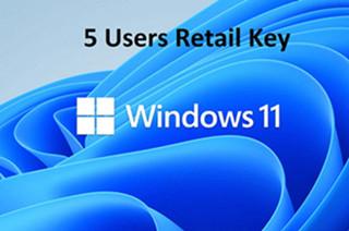 China Windows 10/11 Home Edition Retail 5 Gebruikers activeringscode Geen Mac Lange garantie Te koop