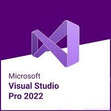 China Visual Studio Activation Key Professional 2022 5 User Lifetime License Key for sale