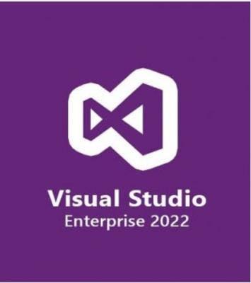 China Multilingual Visual Studio 2022 Enterprise Lifetime License for sale