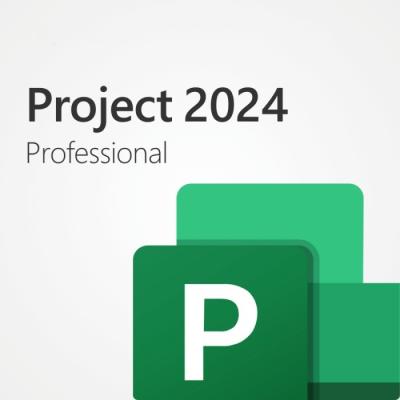 Китай Project 2024 Professional - это программное обеспечение для управления проектами для организаций продается