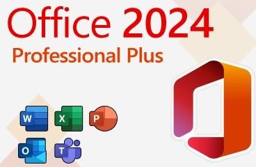 China Original License Office 2024 Professional Plus Mak For 500 User for sale