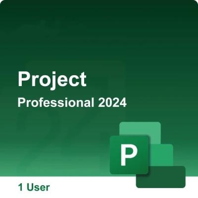 China Microsoft Project 2024 Professional Bind Version Bind Key Online Activation for sale