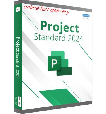 중국 Project Standard 2024 Windows 플랫폼에 대한 평생 라이선스 판매용