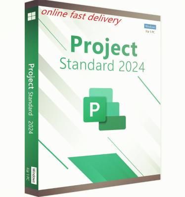 China Project Standard 2024 Bind For 1 PC In Stock License Garantie is 30 dagen Te koop