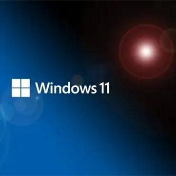 China Proarbeitsplatz-Schlüssel-on-line-Download-Lebenszeit-Aktivierung Computer-Software Windows 11 zu verkaufen