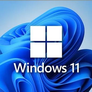 China Multilingual  Windows 11 Product Key 4 Gb 64Bits Pro Activation for sale