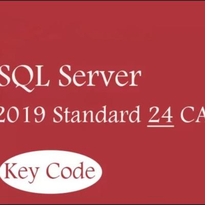 China 2019 24 SQL-Server CALS  Windows, Standardsql drücken Windows Server 2019 aus zu verkaufen