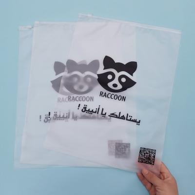 China Recyclable Custom Biodegradable Plastic Packaging Zipper Bags Matte / Frosted Bikini Zip Lock Clothing Bags With Logo for sale