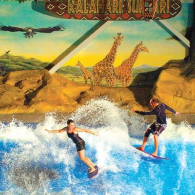 China OEM Water Park Hotel Novelty Flowrider Surfing Simulating Machine Equipment for Amusement Park for sale