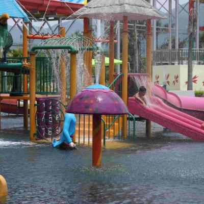 China Customized Fiberglass PVC Spray Aqua Park Equipment Cartoon Mushroom Shaped for sale