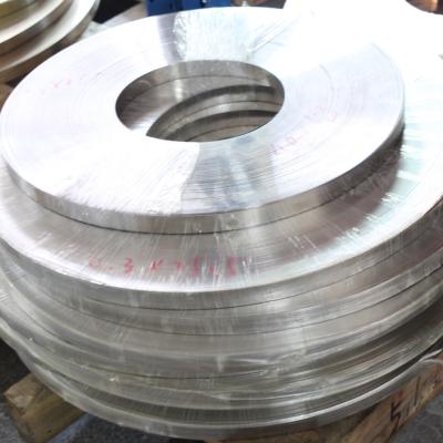 China Electronic industry OEM China Dongguan stainless steel strip factory direct sales for sale