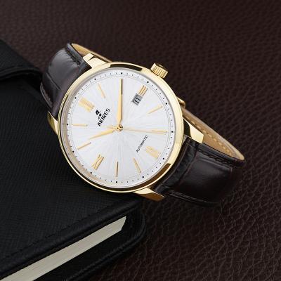 China Automatic Date Akires 2019 Hot Selling Wristwatches Luxury Men Watches Automatic Mens Wrist Watch for sale