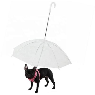 China Sustainable Recycled Pet Umbrella Rainy Day Dog Umbrella Dog Printing Transparent Umbrella for sale