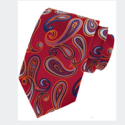 China Custom Business Fashion Paisley Polyester Tie For Custom Necktie for sale