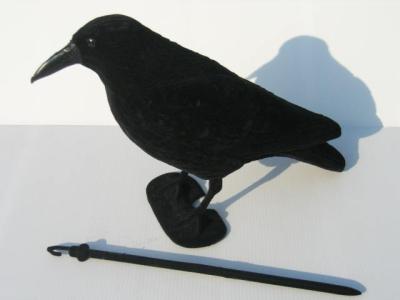 China PE Flocked Hooded Crow Decoys With Legs And Stick, Lightweight Hunting Pigeon Decoys Without Fading for sale