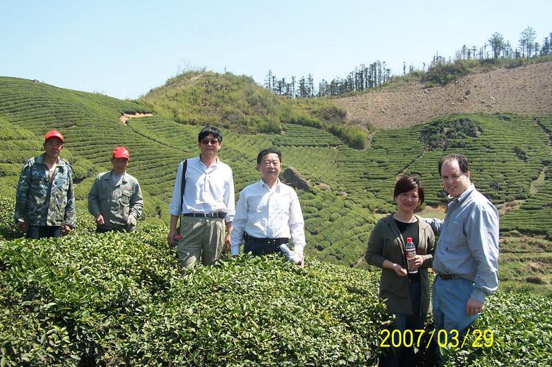 Geverifieerde leverancier in China: - Lin'an Dayang Tea Industry Co., Ltd