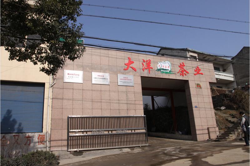 Geverifieerde leverancier in China: - Lin'an Dayang Tea Industry Co., Ltd