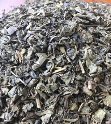 China Té verde 3505AAAA de la pólvora de 2016 años en venta