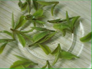 中国 ハンドメイドのドラゴンの井戸/Longjing の緑茶、100% は Lungching の有機性茶をカスタマイズしました 販売のため