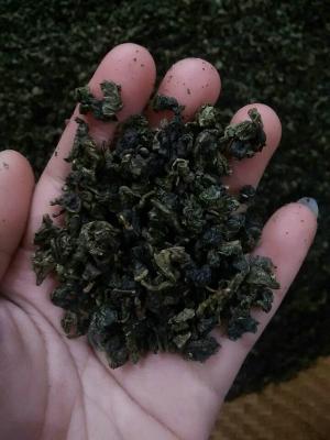 Китай Чай Tieguanyin Oolong высокой ранга, заквашенный органический чай Gaba продается