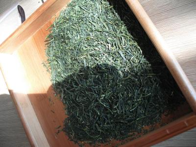 China Dark Green Tight Sleek Sencha Organic Green Tea With Jap Organic Certificate for sale