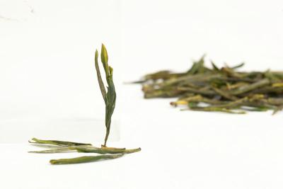 China De groene Met de hand gemaakte Thee van Tian Mu Qingding, Zuivere Natuurlijke Slanke Groene Thee Te koop