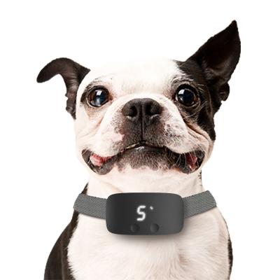 China Wholesale Custom Viable Hot Dog Trainer Amazon Amazon Sports Collar Training Shock Dogs No Bark Dog Collar Batteries Pet Electric for sale