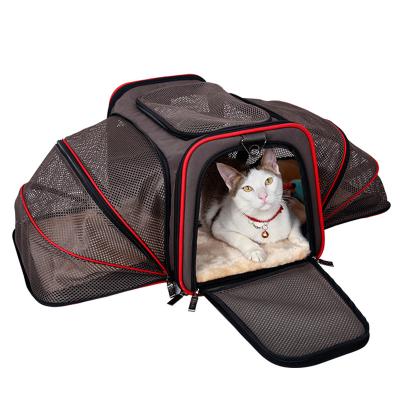 China Sustainable Wholesale Luxury Small Collapsible Travel Carrier Dog Carrier Airline Approved for sale