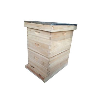 China Langstroth Hive Box Wooden Bee 8frames/10frames Langstroth Hoops Bee Box For Beeekeeping for sale