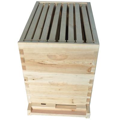 China 2020 hot knots products langstrorth hive frameless first grade pine assembled bee flex frames for sale