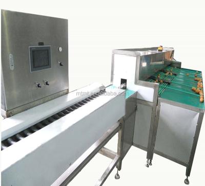 China Fresh Egg Grading High Precision Electronic Egg Grading Machine For Various Egg for sale