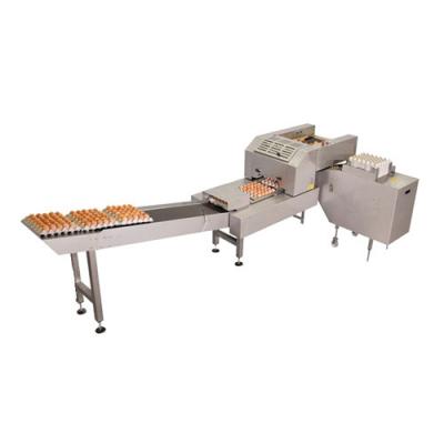 China Poultry Laying Farms Automatic Egg Packing Machine for sale