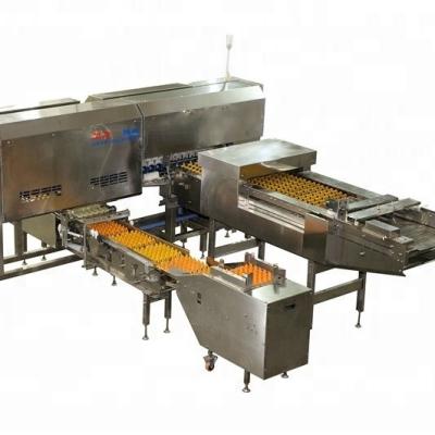 China Fresh Egg Packing Poultry Farming Equipment Egg Packing Machine For Sale for sale