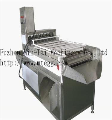 China Egg Processing Plant Hard Boiled Egg Peeling Machine for sale