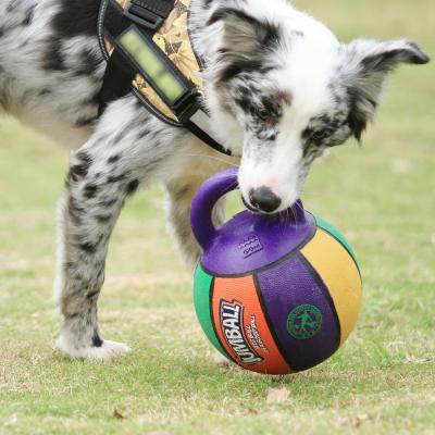 China GiGwi Stocked Rubber Dog Ball For Large Dogs Training Durable Dog Toy for sale