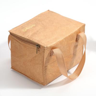 China Tyvek Grocery Waterproof Brown Paper Waterproof Aluminum Foil Insulated Bag Beach Cooler Bag For Beverage Food Drinks for sale