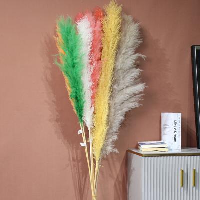 China Natural Touch New Multicolored Big Dried Pampas Grass Bouquet Natural Dried Pampas Grass With Long Stem for sale