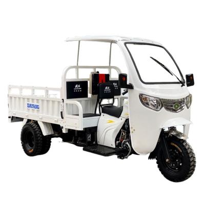 China Standard Size 3 Wheel Gasoline 200cc/250cc/300cc Motorcycle Engine Cabin Cargo Tricycle for sale