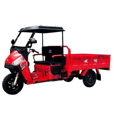 China 1 Passenger DAYANG 175cc Cargo Scooter Trike with Cab and Front Drum Rear Drum Brakes for sale